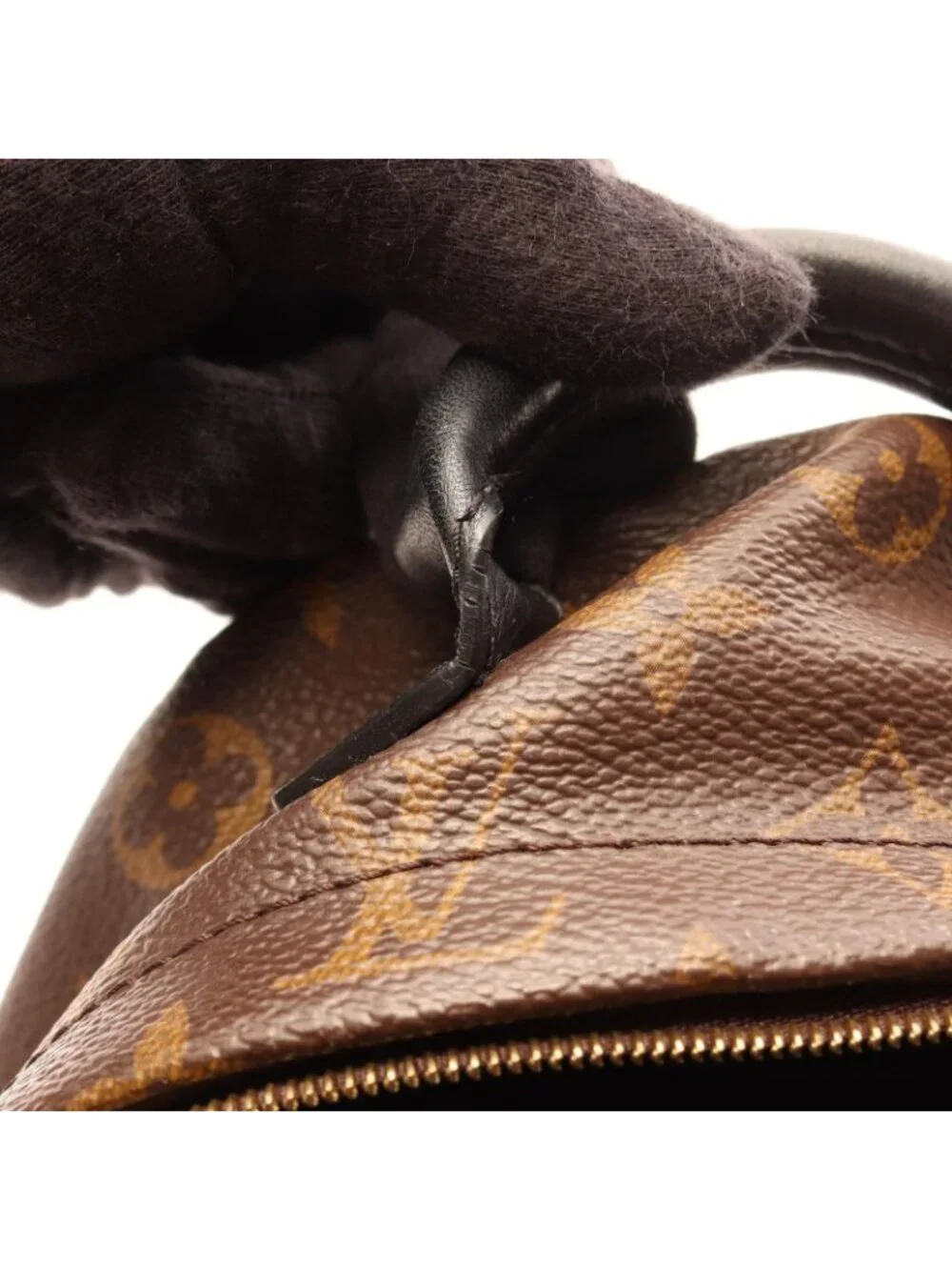 Louis Vuitton Backpack Palm Springs Mini Canvas Leather